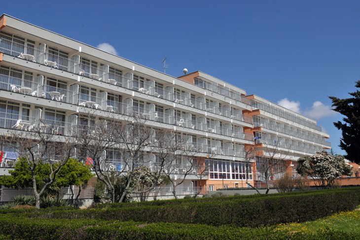 (N. LAZAREVIĆ/ILUSTRACIJA) (N. LAZAREVIĆ/ILUSTRACIJA)